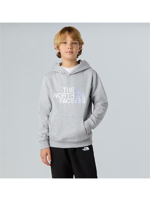 teen drew peak pullover THE NORTH FACE | NF0A8EHHDYX1DYX
